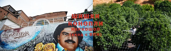 ешки Богородицк