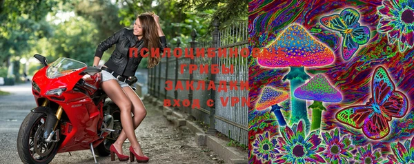 2c-b Богданович